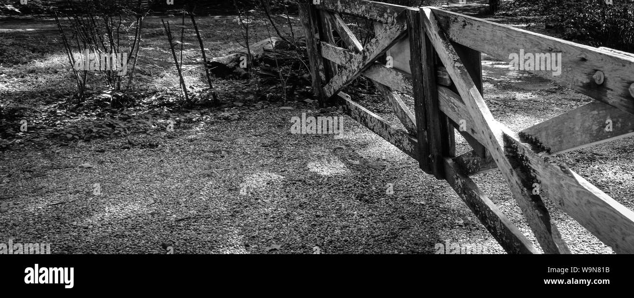 Vieilles portes de bois avec leichen et algues fermer un accès le long d'une ancienne route de campagne dans le sud-est des Etats-Unis, noir et blanc Banque D'Images