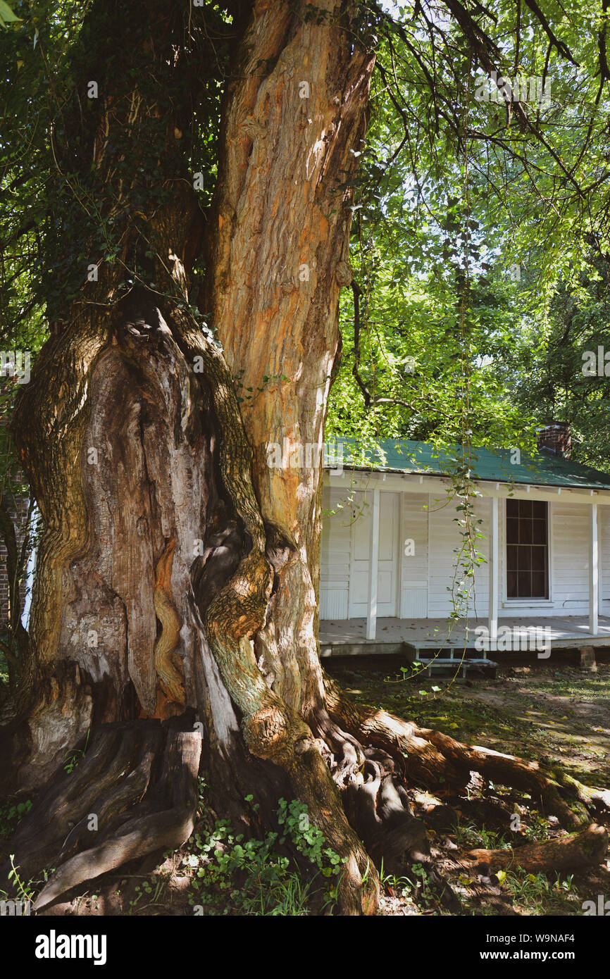 Lauréat du Prix Pulitzer, William Faulkner, a construit cette petite maison sur le site de l'esclave initial quarts à Rowan Oak, Oxford, MS Banque D'Images