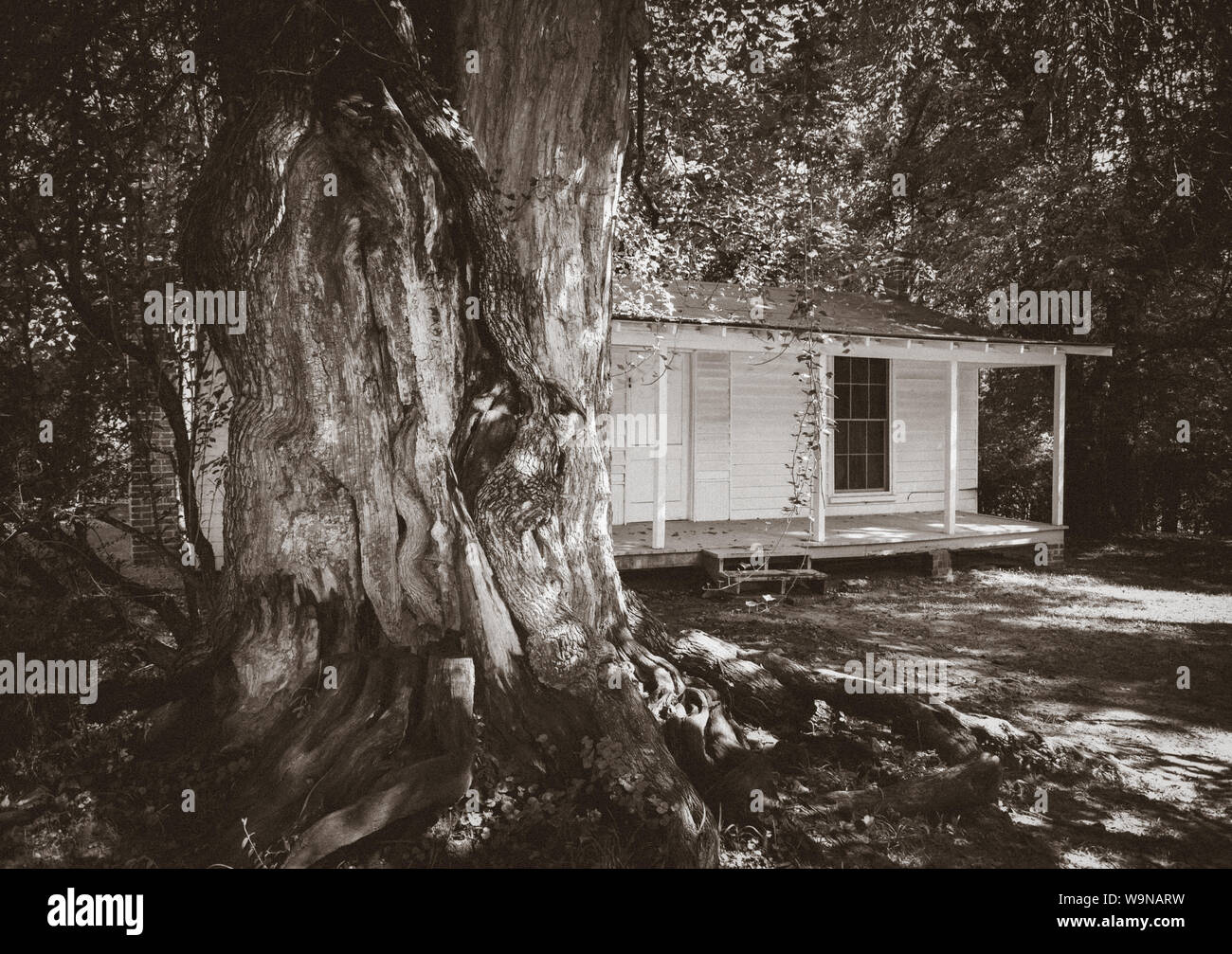 Lauréat du Prix Pulitzer, William Faulkner, a construit cette petite maison sur le site de l'esclave initial quarts à Rowan Oak, Oxford, MS Banque D'Images