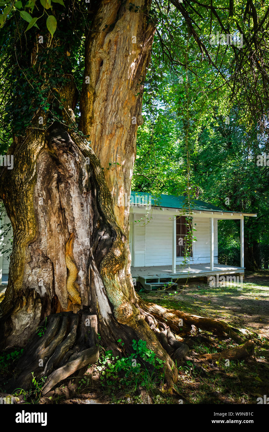Lauréat du Prix Pulitzer, William Faulkner, a construit cette petite maison sur le site de l'esclave initial quarts à Rowan Oak, Oxford, MS Banque D'Images