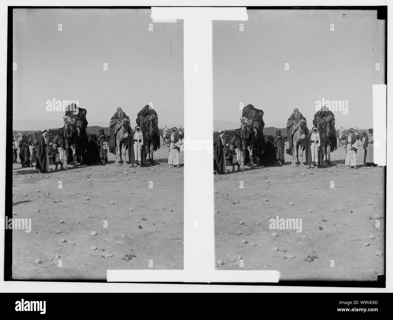 Série de mariage bédouin. Cortège de mariage prêt à démarrer Banque D'Images