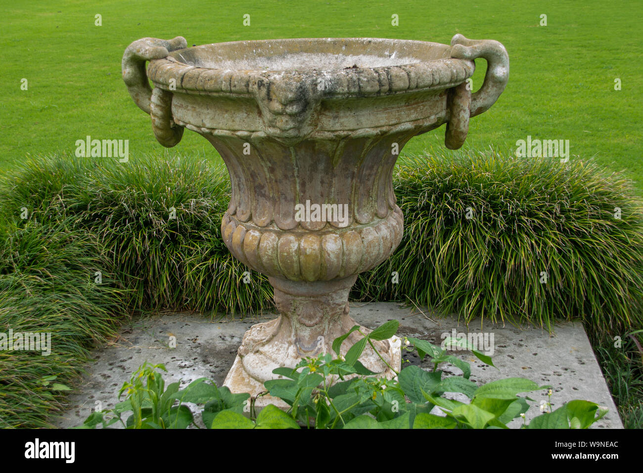 Un ancien semoir d'urne un jardin avec les plantes qui poussent autour de lui. Banque D'Images