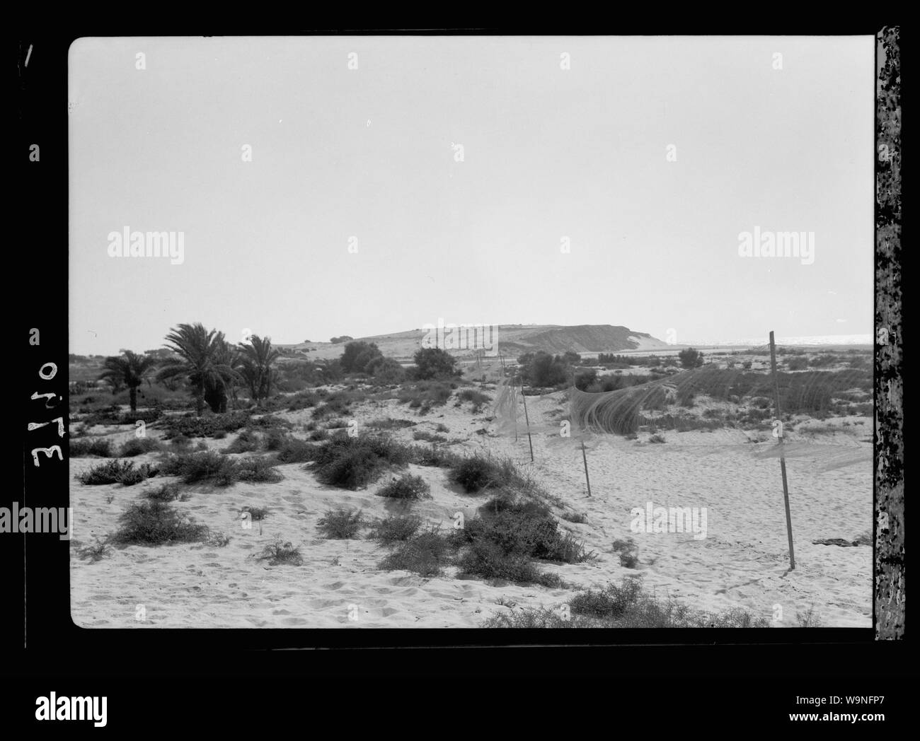 Bersabée et environs. La Bière (Saba). Les trémails sur mer. Colletage de cailles migrateurs Banque D'Images