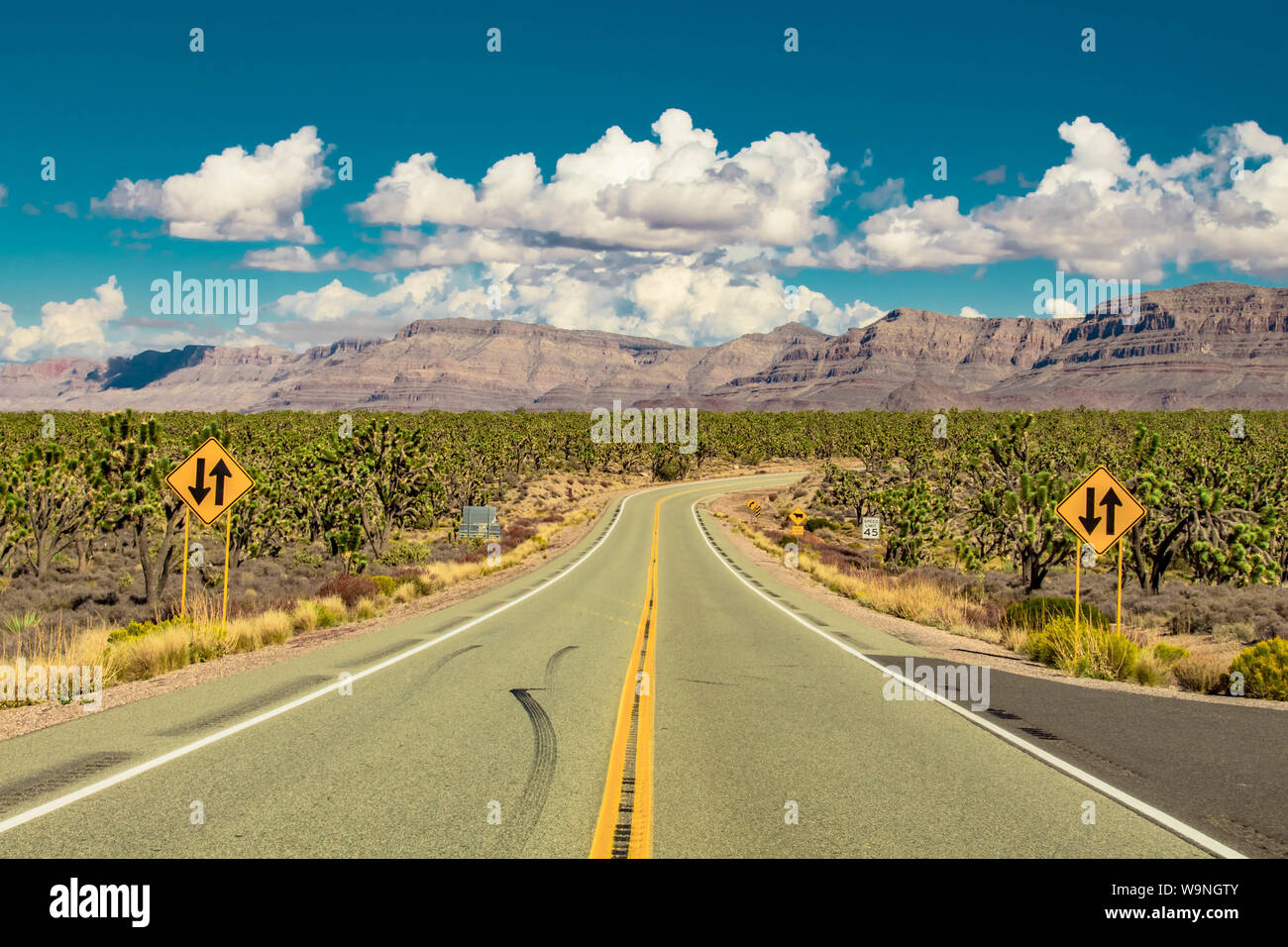 En route à travers le désert de l'Arizona Joshua trees forêt avec signalisation jaune Banque D'Images