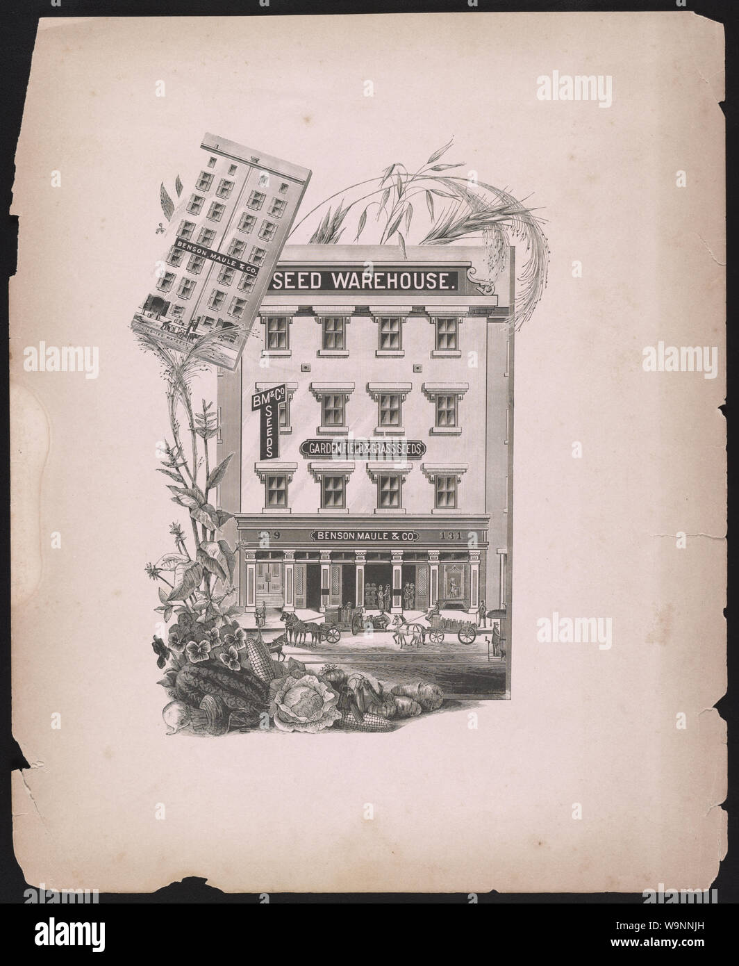 Benson, Maule & Co. / entrepôt de semences Longacre Co. Banque D'Images