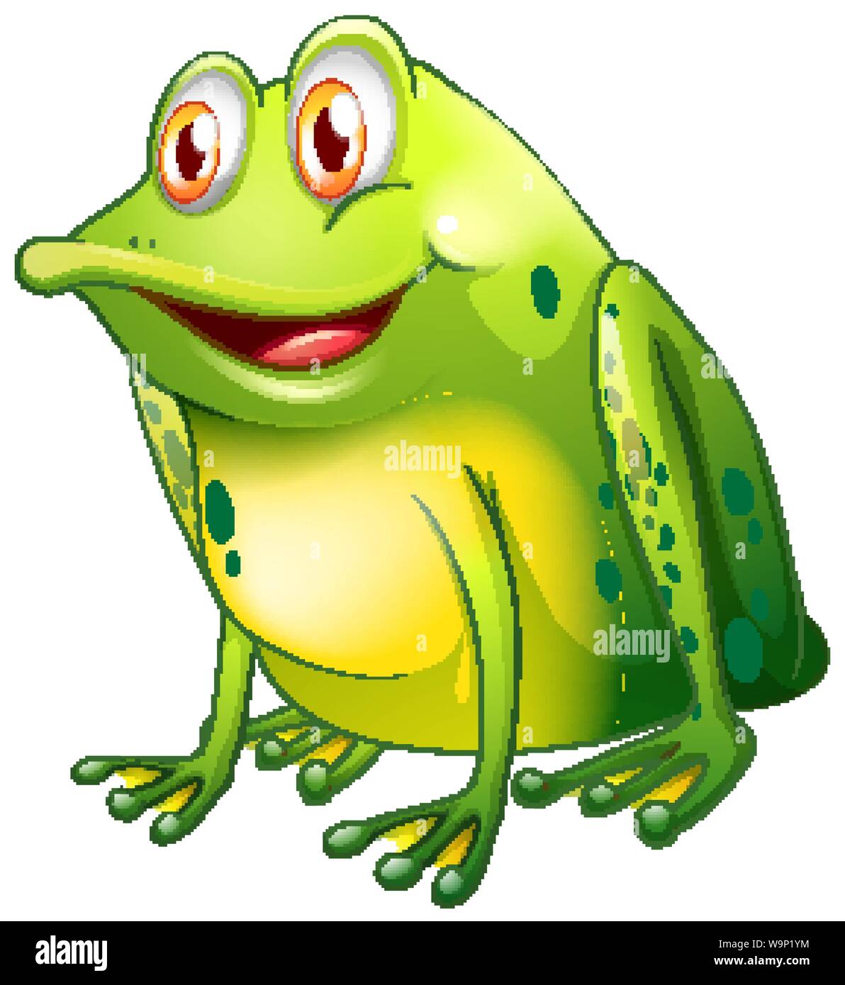 La grenouille verte assise sur fond blanc illustration Image ...
