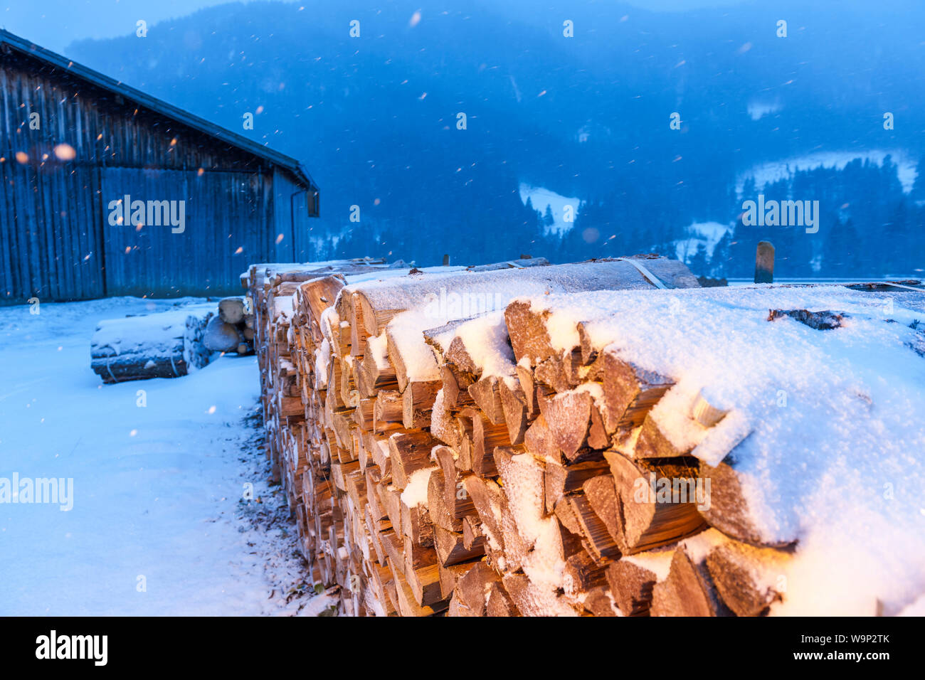 Bois de chauffage fendu et livré à une grange dans un paysage bavarois de neige. Banque D'Images