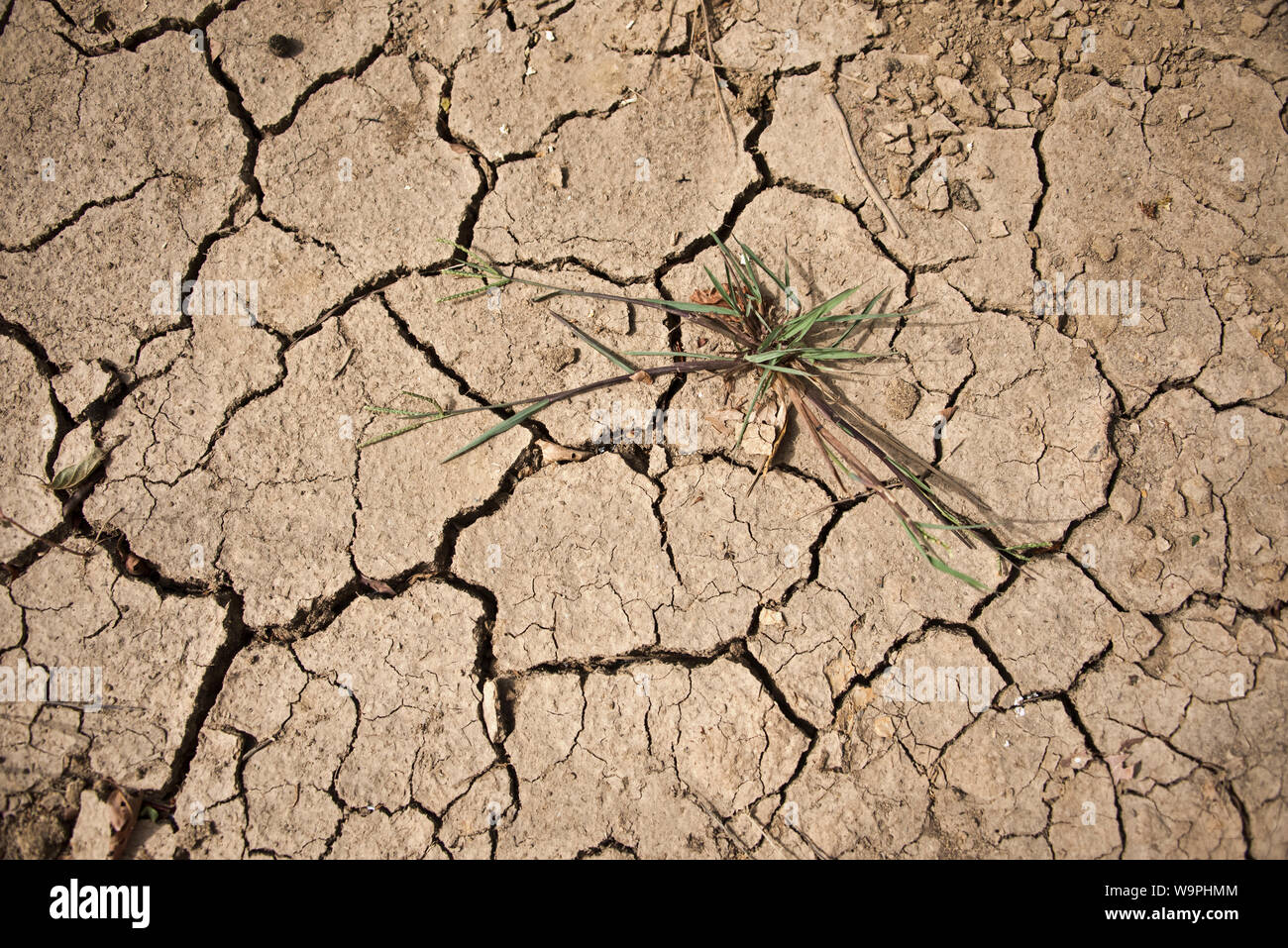 Cracked earth - le résultat de la sécheresse - dans la région du Sahara du Niger Banque D'Images