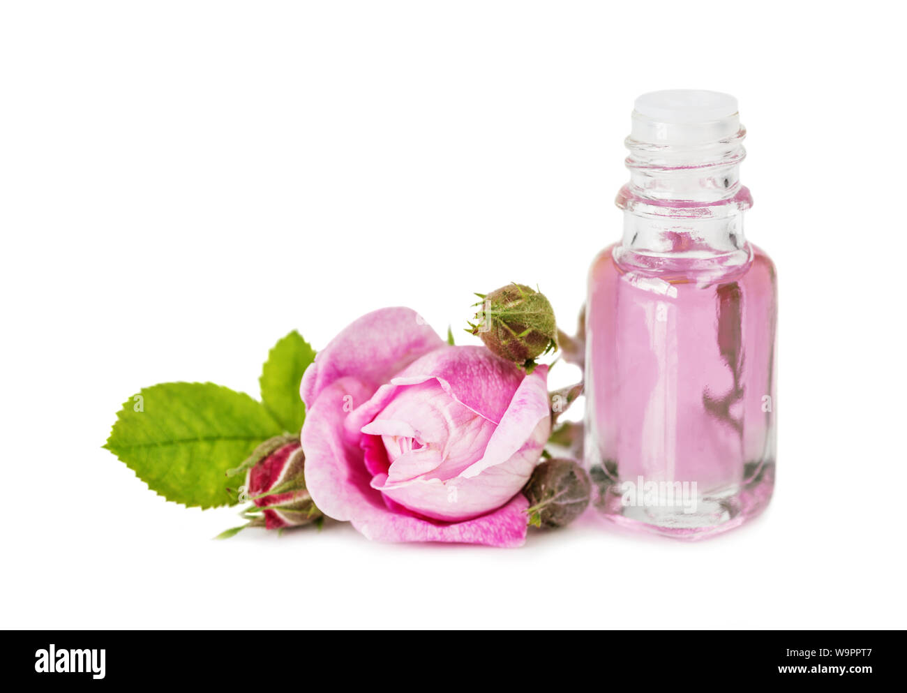 Vvial avec de l'huile essentielle de rose et rose fleur rose isolé sur fond blanc Banque D'Images