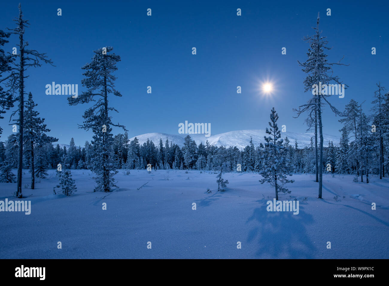 Pallas montagnes à lune avec de longues ombres des sapins et de la neige fraîche dans le Parc National de Pallas-Ylläs Tunturi à Muonio, Finlande Banque D'Images