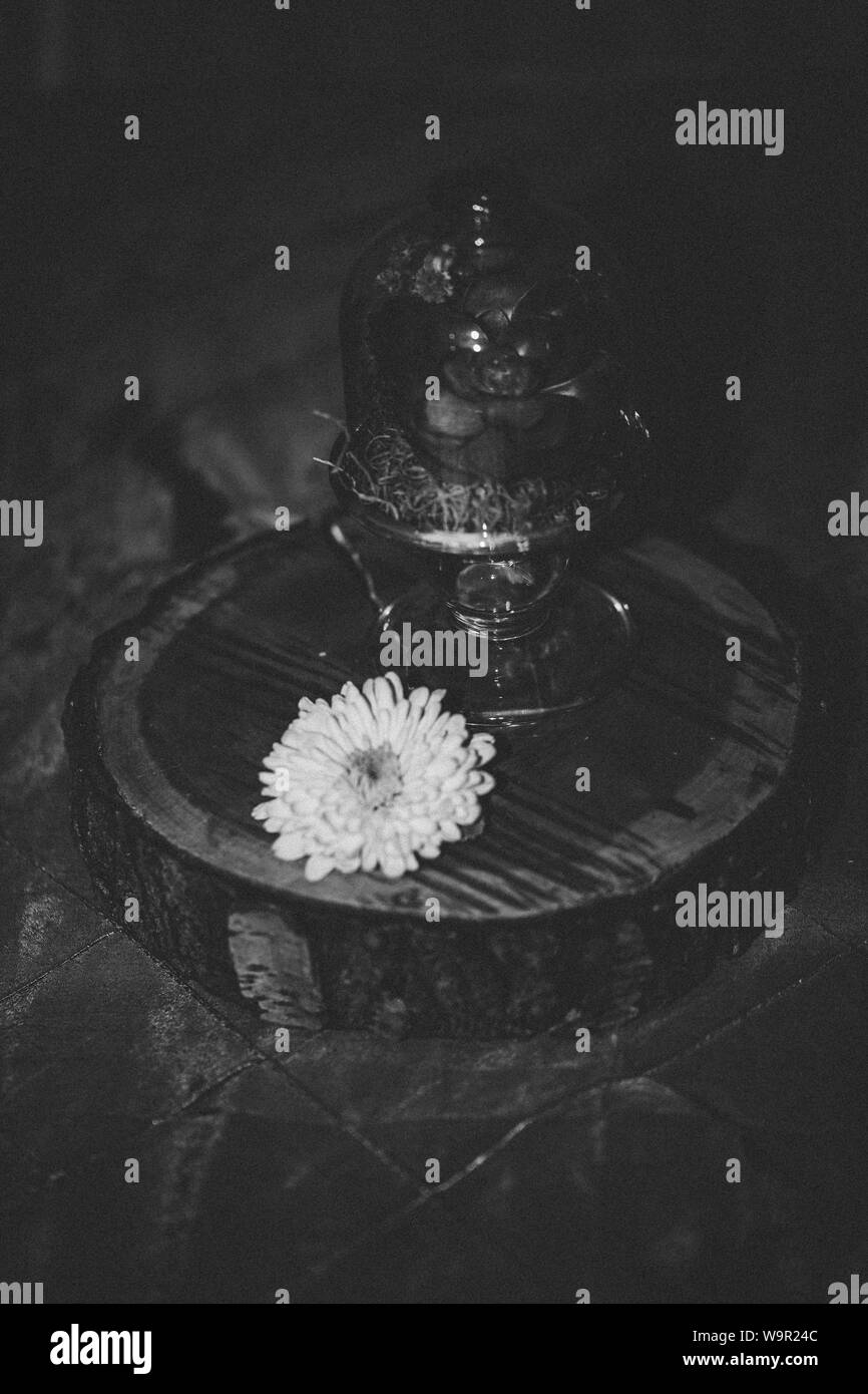 Photo verticale monochrome d'une fleur et d'un stand de service avec dôme sur une surface ronde en bois Banque D'Images