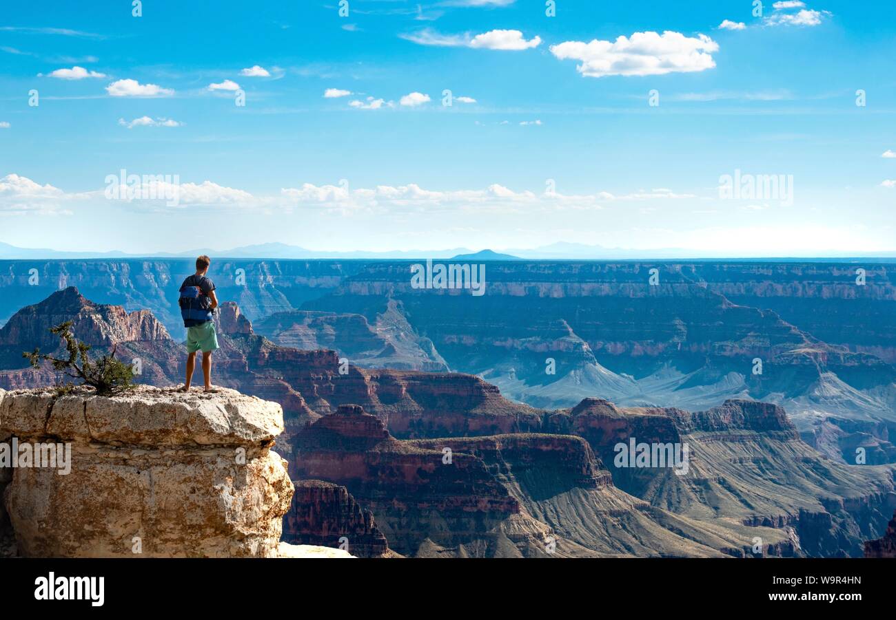 Homme debout sur le roc, vue de paysage de Bright Angel canyon Viewpoint, Rive Nord, le Parc National du Grand Canyon, Arizona, USA Banque D'Images