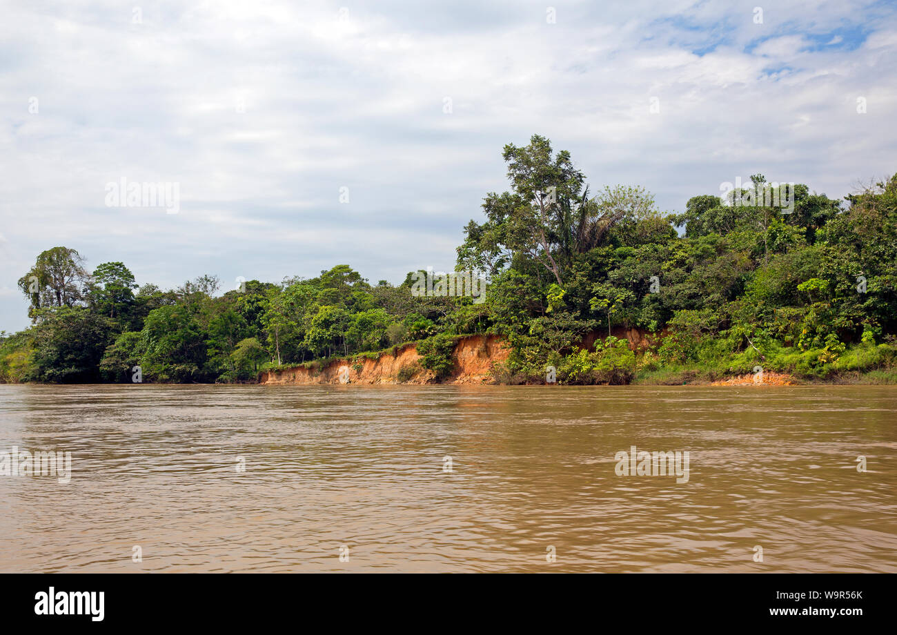 Vue sur la rivière Napo en forêt tropicale équatorienne Banque D'Images