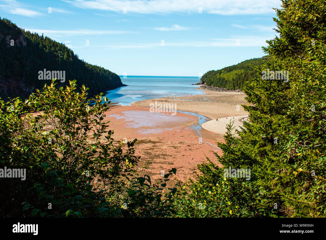 Point Wolfe, le parc national de Fundy, Nouveau-Brunswick, Canada Banque D'Images