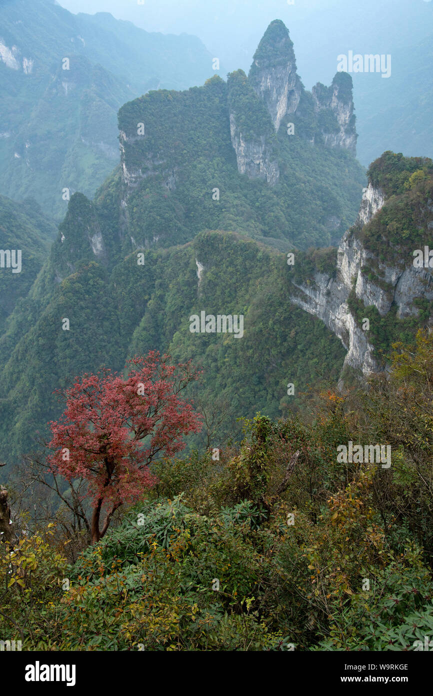 L'Asie, Chine, Chinois, Province du Hunan, l'UNESCO, Patrimoine Mondial, Wuling, Wulingyuan Mountain, *** *** légende locale Banque D'Images