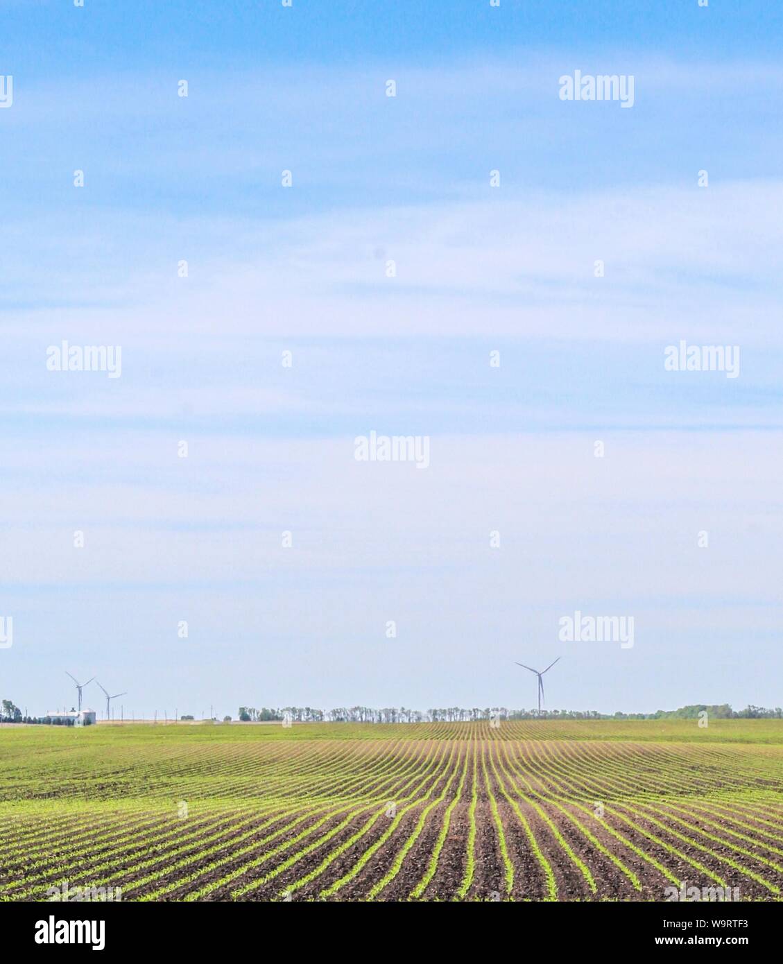 Les terres agricoles de l'Illinois Central avec les éoliennes dans la distance près de Hoopeston, Illinois, États-Unis Banque D'Images