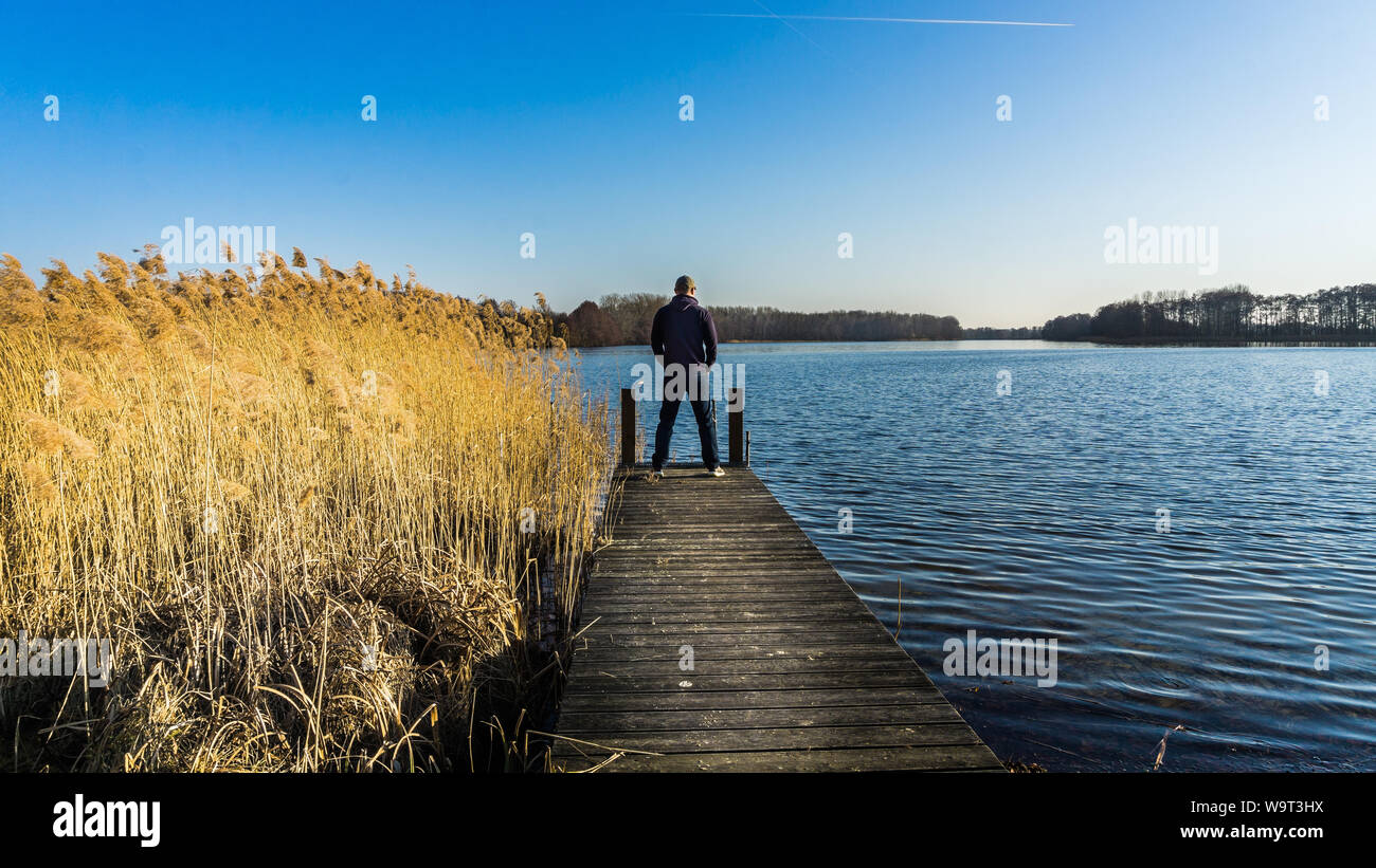 Homme debout sur la jetée à un lac Banque D'Images