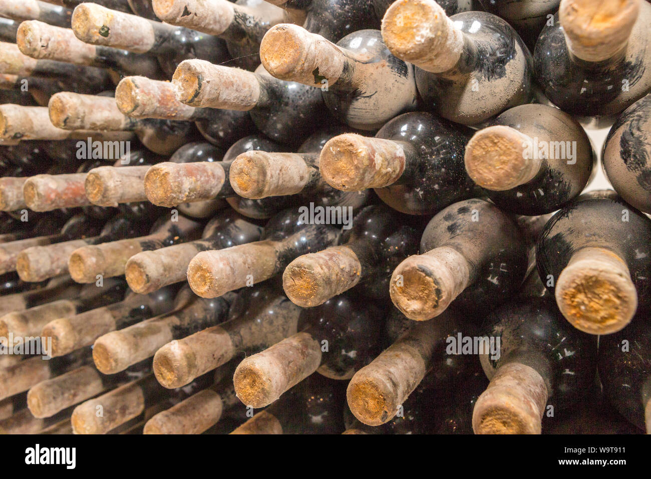 Musée du vin vieux et espace de rangement Cricova Winery Chisinau Moldavie Banque D'Images