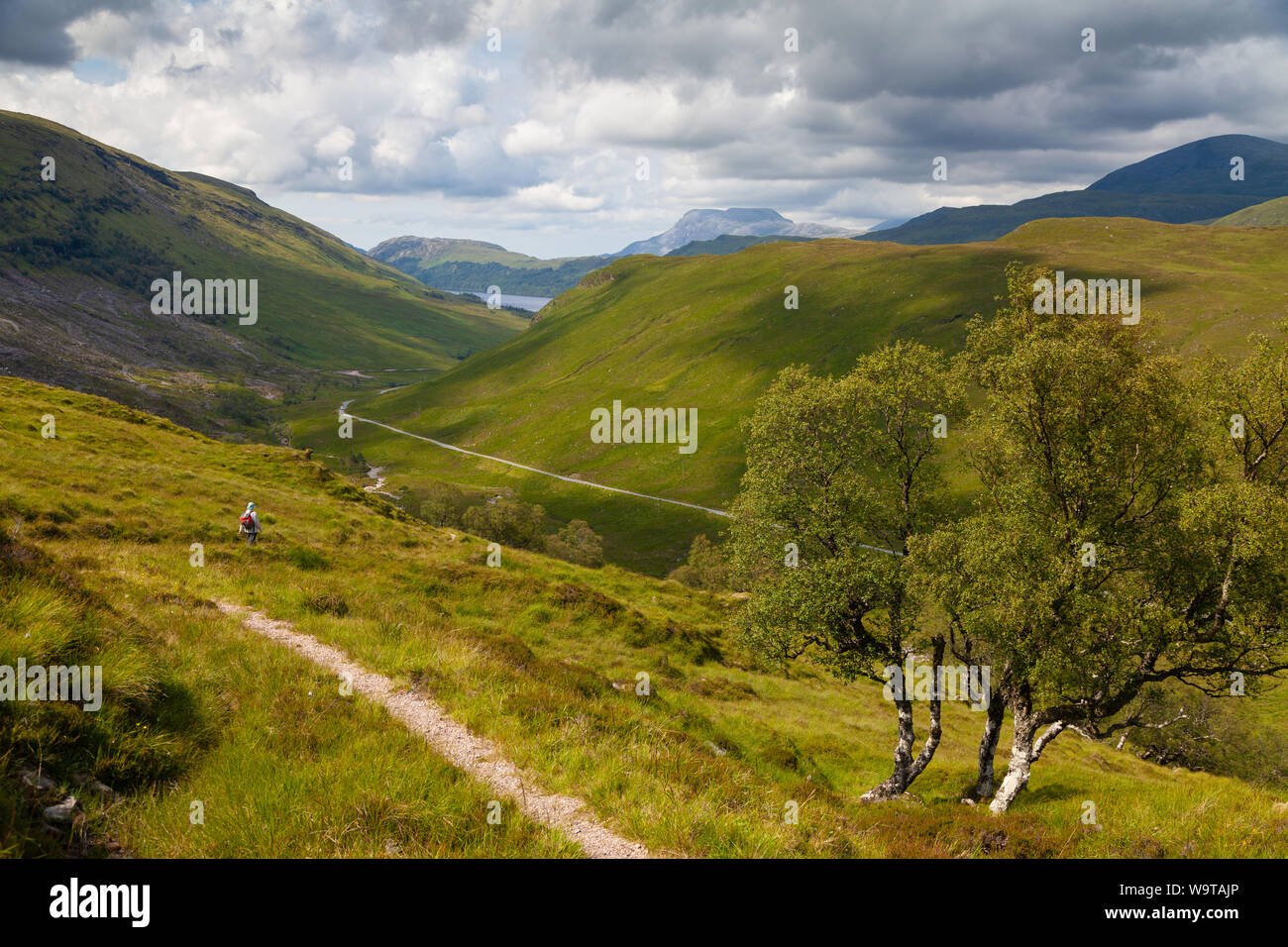 Un marcheur marcher dans un chemin de stalkers Beinn Leoid dans les highlands d'Ecosse. Banque D'Images