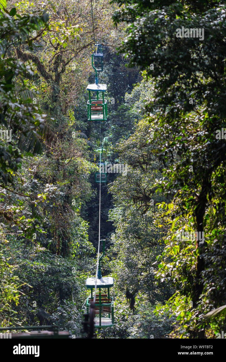 En forêt du Costa Rica Banque D'Images
