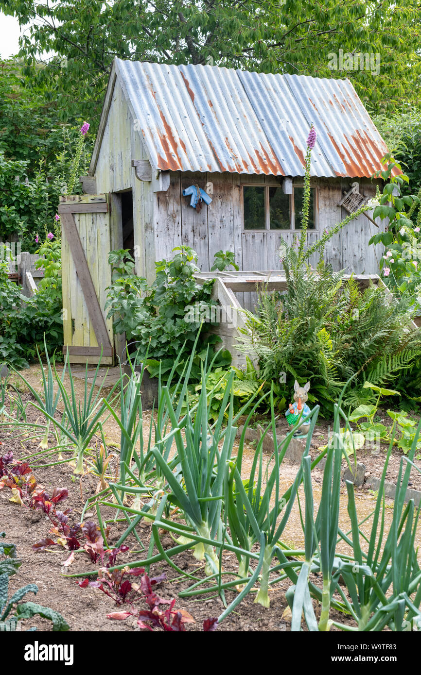 M. Mcgregor's garden Rosemoor à RHS Gardens, Great Torrington, Devon, Angleterre Banque D'Images