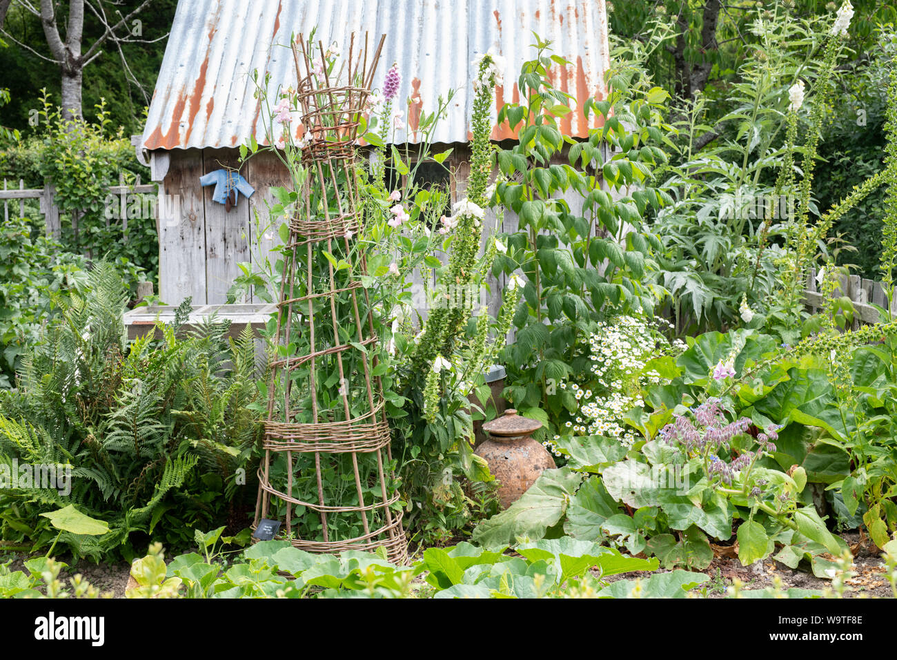 M. Mcgregor's garden Rosemoor à RHS Gardens, Great Torrington, Devon, Angleterre Banque D'Images