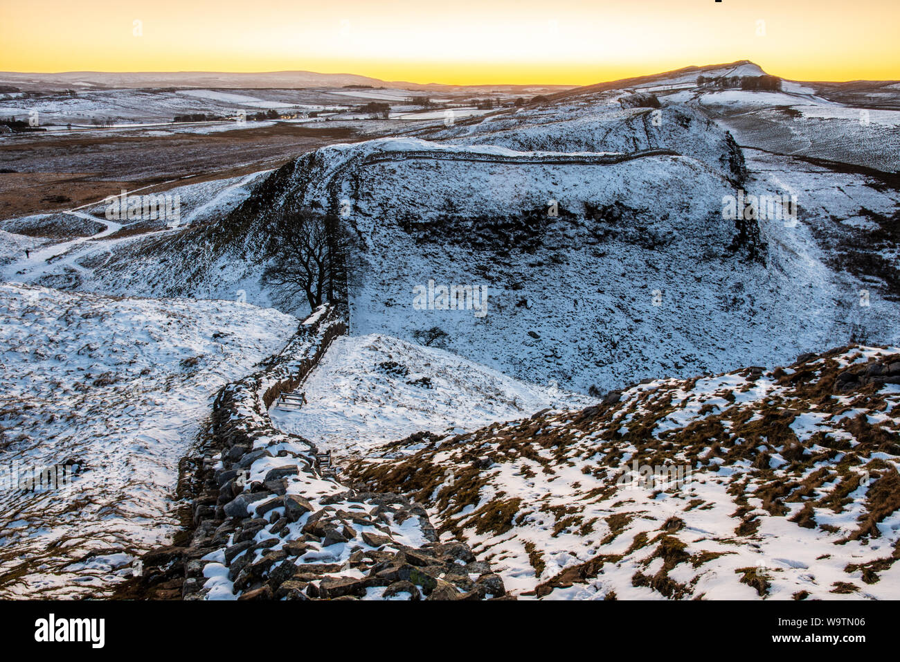 Le soleil se couche sur le lone Sycamore Tree à la fois brassées sur les rochers couverts de neige du mur d'Hadrien, dans le Northumberland. Banque D'Images