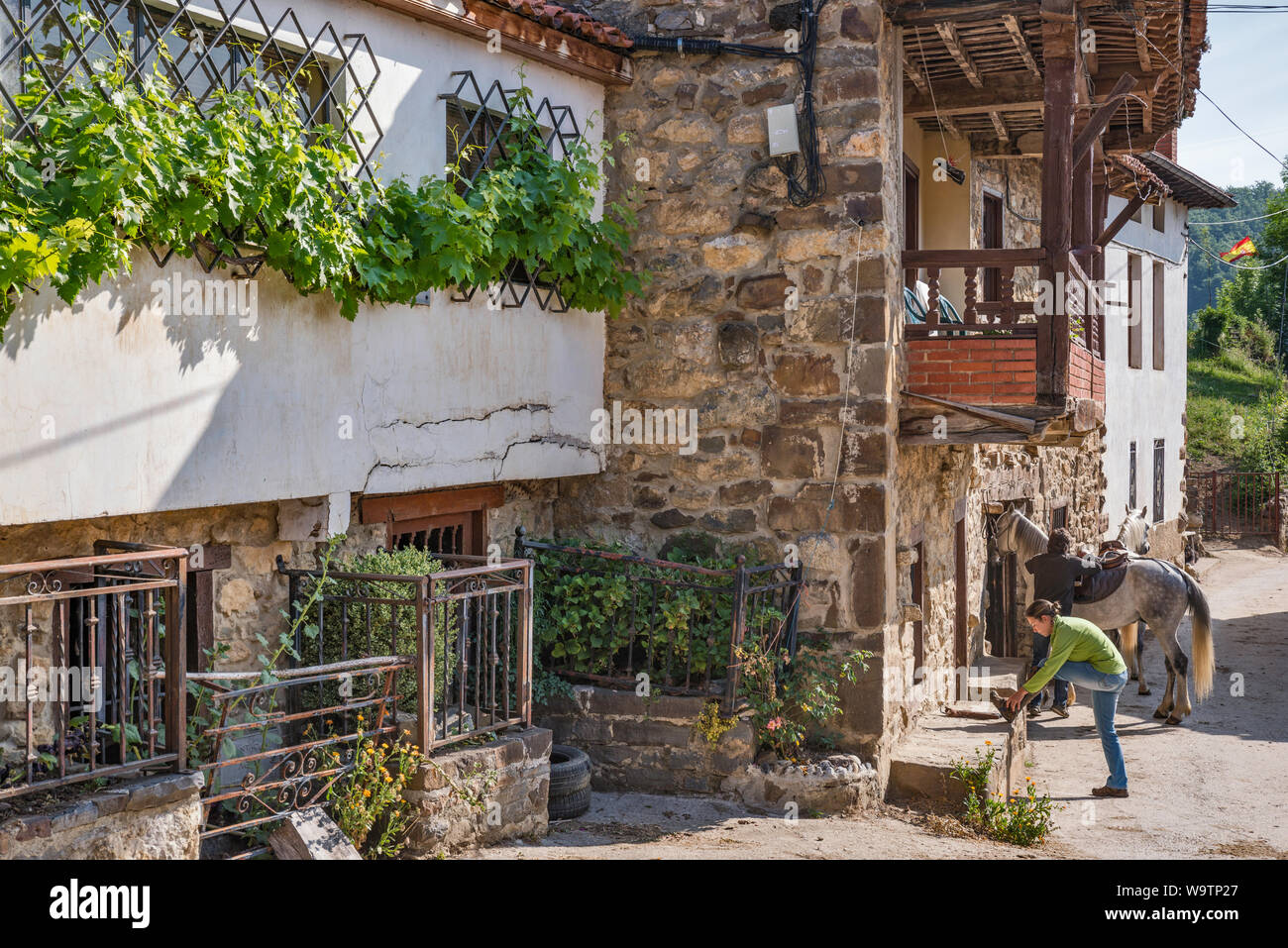 Jeune femme se préparant à monter à cheval, village de Pembes, Macizo Central (Macizo Los Urrieles) dans les Picos de Europa, Cantabria, ESPAGNE Banque D'Images