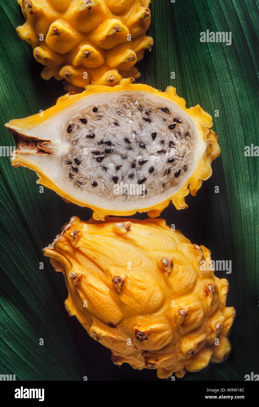 Poire fraise, Hylocereus megalanthus pitaya jaune, endémique à l'Amérique centrale, coupe montrant la chair. Banque D'Images