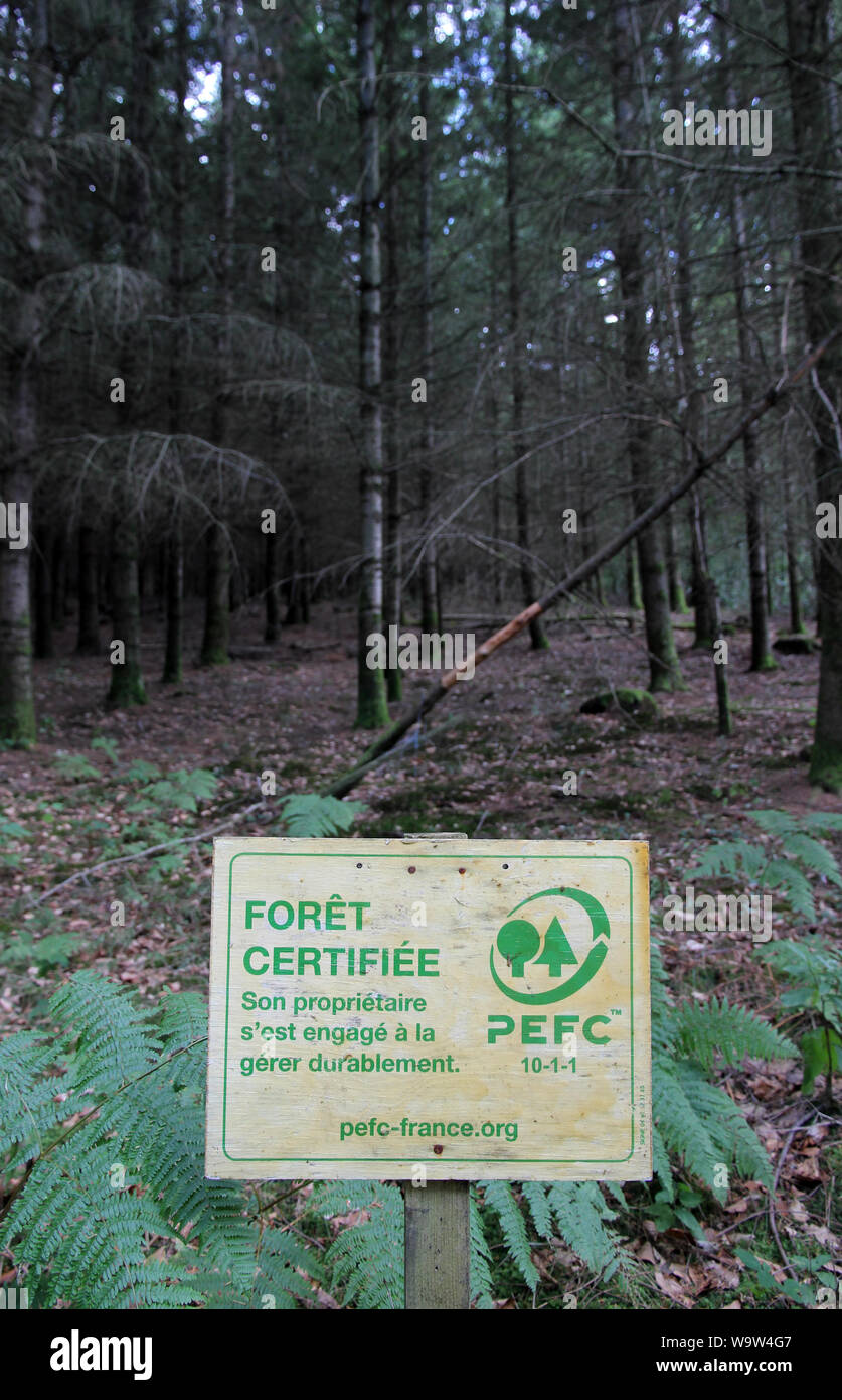 La foresterie durable Mont Saint-Cyr France Banque D'Images