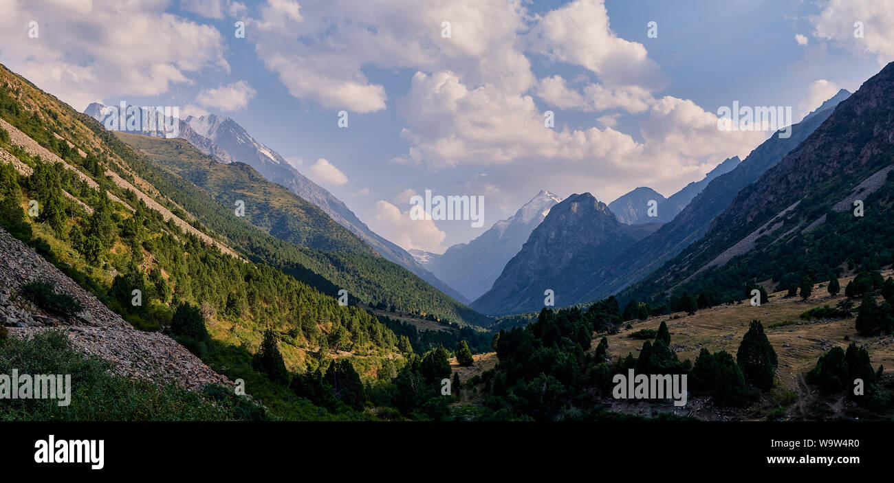 Panorama d'une vallée de montagne en été, vue aérienne. Une vue imprenable sur les sommets des montagnes, de nature extraordinaire, l'été dans les montagnes. Voyage, tourisme. Banque D'Images