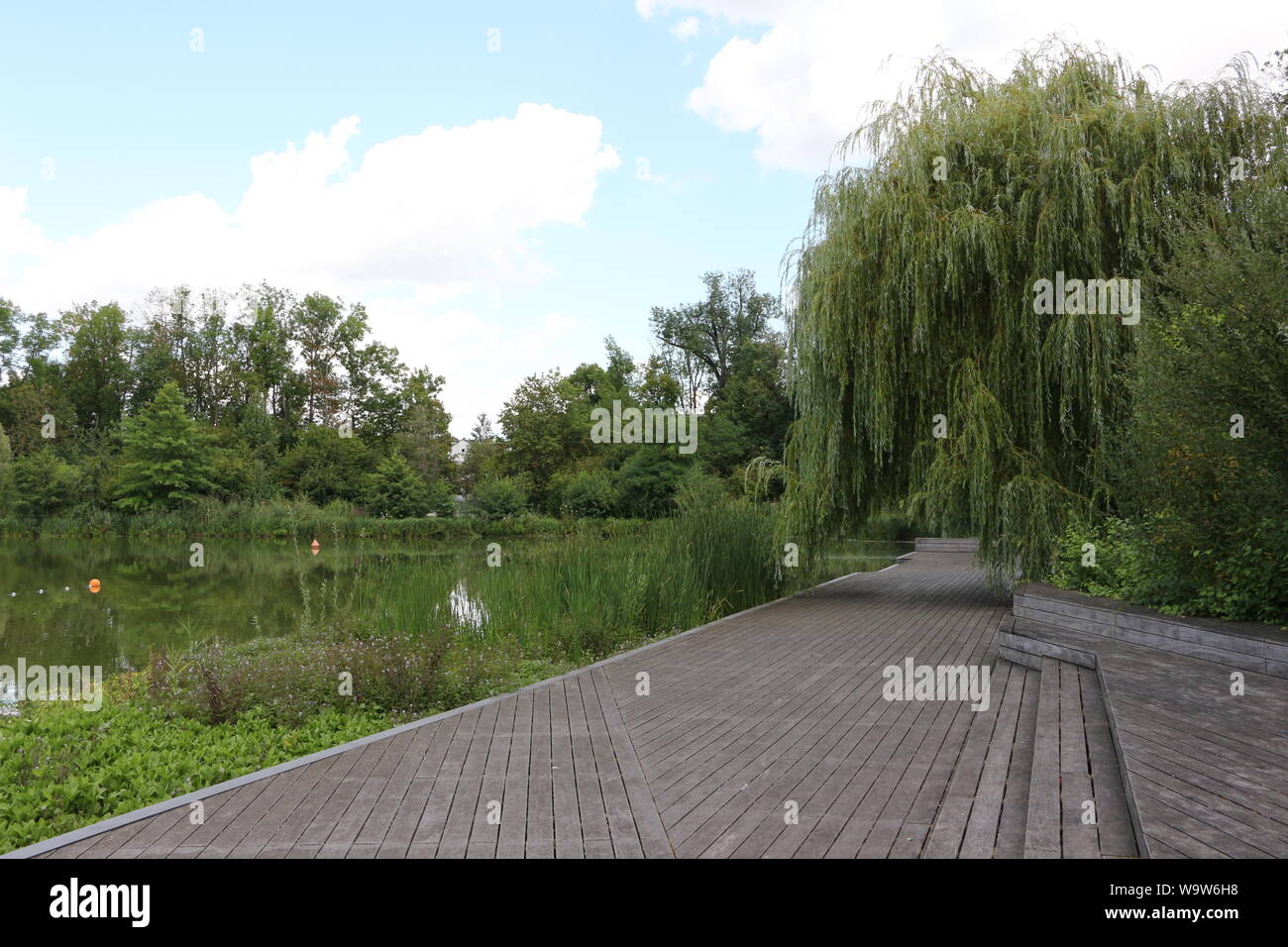 Teich im kurpark Banque de photographies et d’images à haute résolution