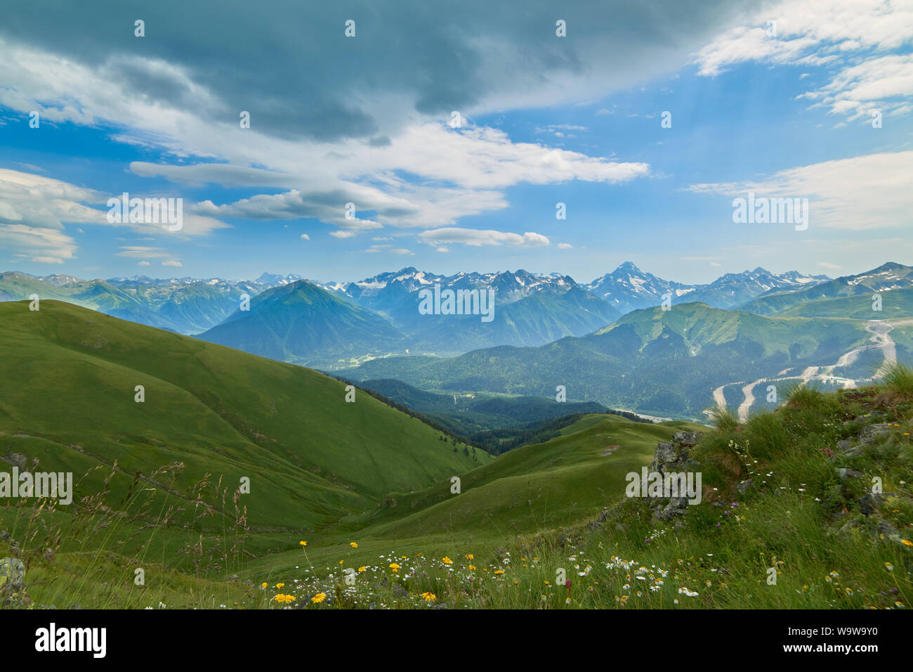 Fleurs roses et jaunes sur fond de montagnes enneigées Arkhyz Caucase du Nord Russie Banque D'Images