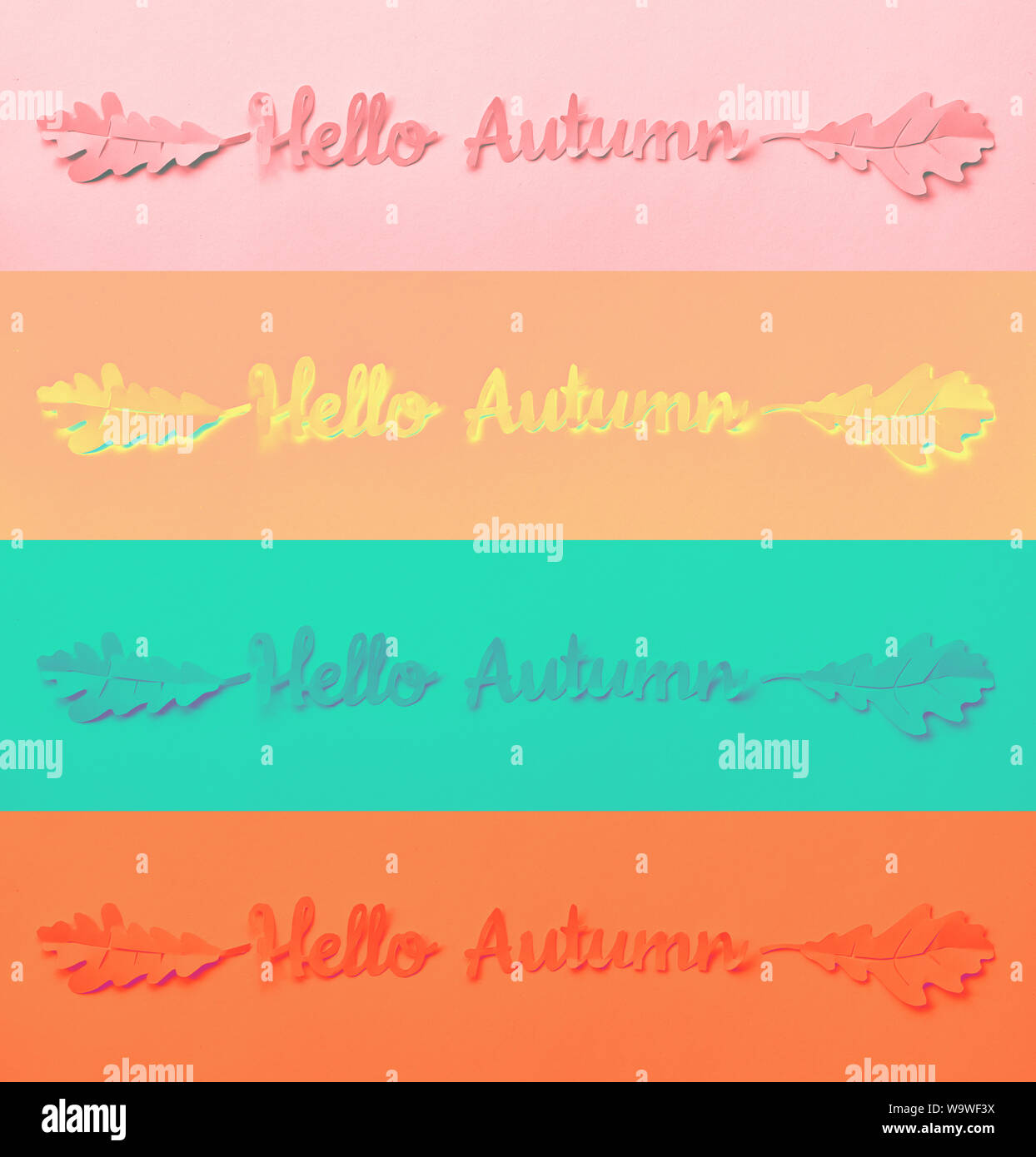 Mise à plat sur papier, collage papier avec texte 'Bonjour' avec feuilles de chêne en différentes couleurs vives. Collection de bannières aux couleurs des images. Banque D'Images