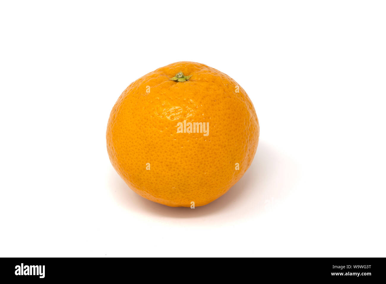 Un fruit orange sur fond blanc Banque D'Images