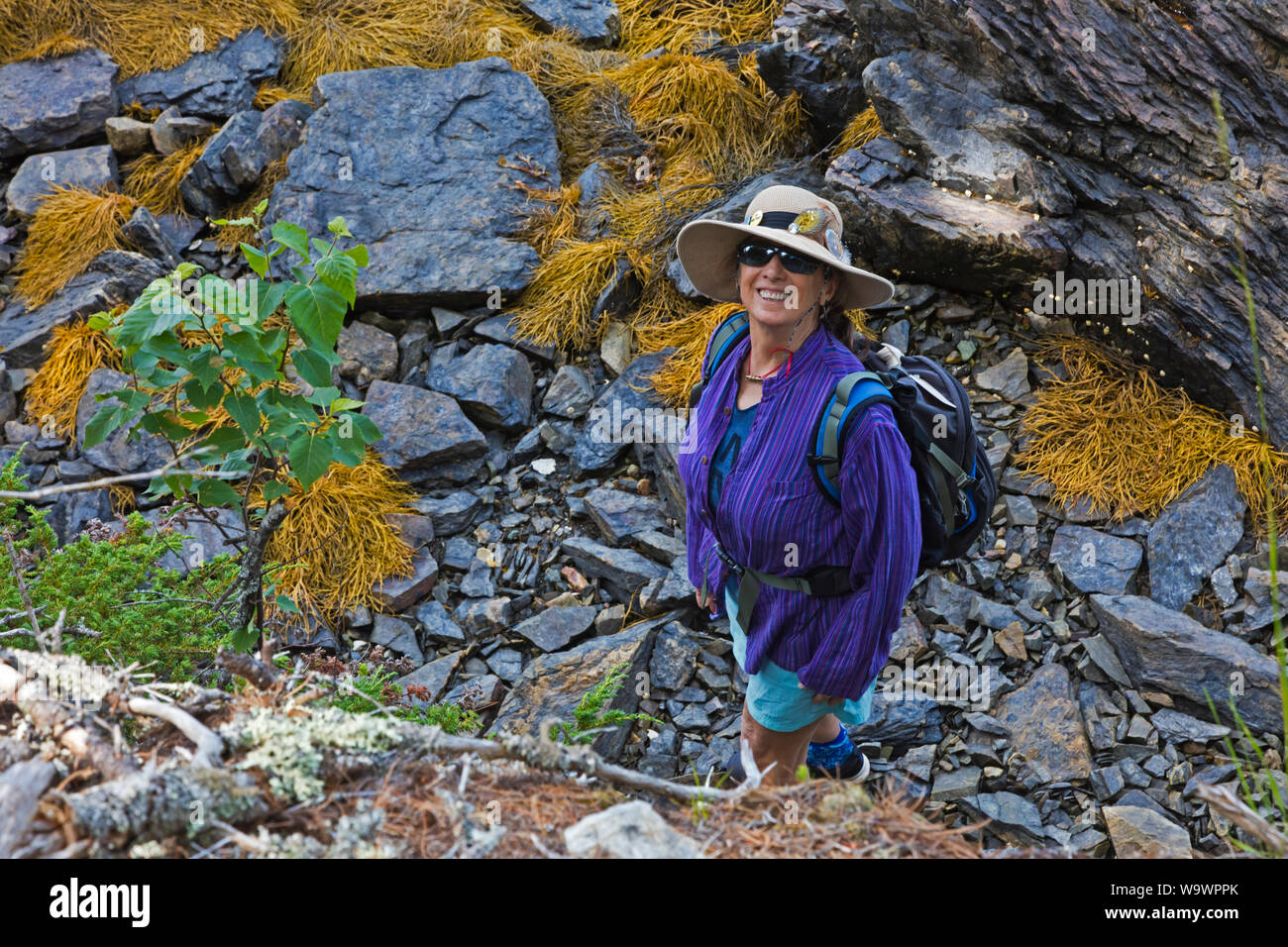 Christine Kolisch promenades le long de la côte à marée basse près de BLUE HILL BAY - MAINE Banque D'Images