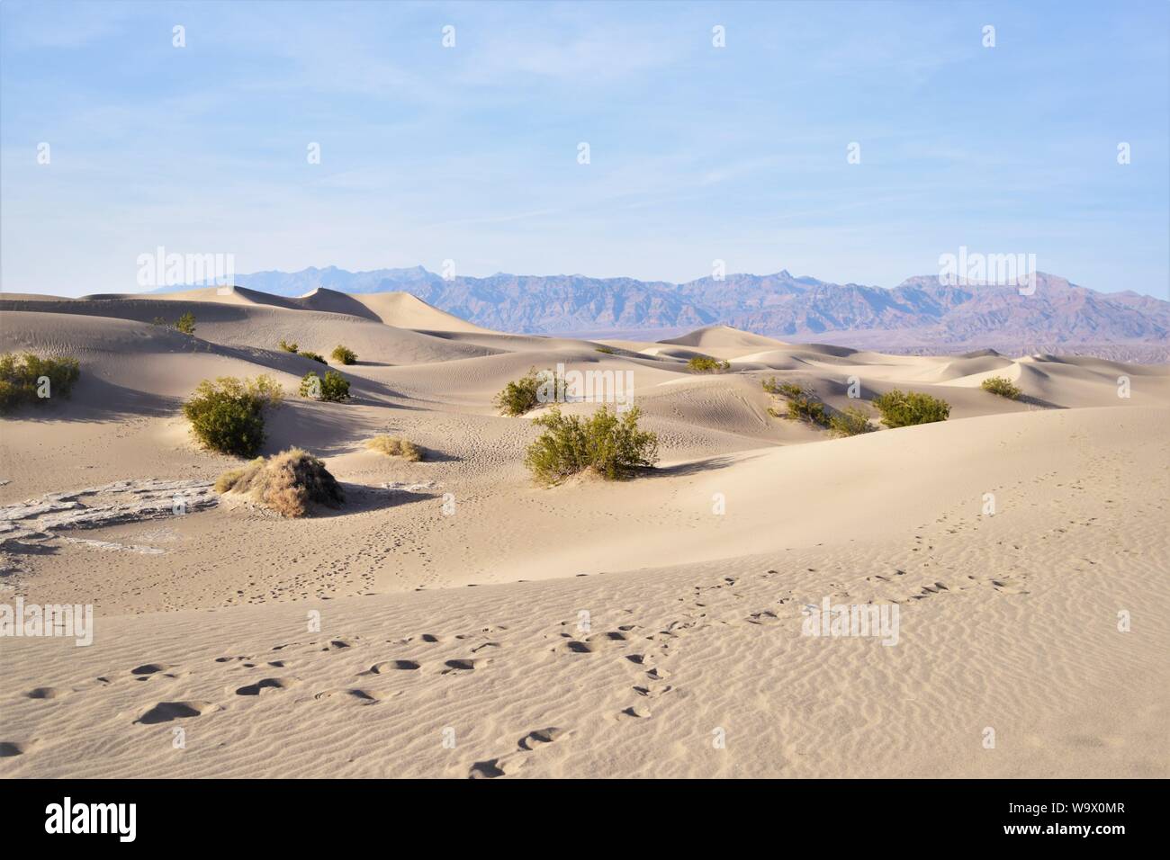 Des traces de pas dans le sable, Death Valley National Park Banque D'Images