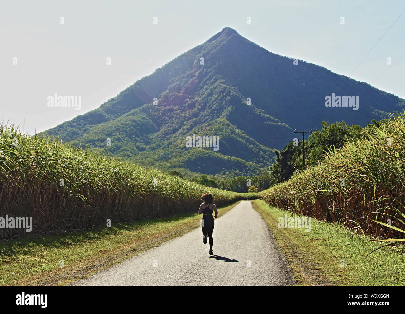 La Pyramide De Walsh A Au Sud De Cairns Une Spectaculaire 922m De Hauteur Pyramide Naturelle Autonome Et D Execution Dans De L Arriere A Travers Les Champs De Canne A Sucre La Pyramide De Walsh A Au Sud De Cairns Une Spectaculaire 922m De Hauteur Pyramide Naturelle Autonome Et D Execution Dans De L Arriere A Travers Les Champs De Canne A Sucre