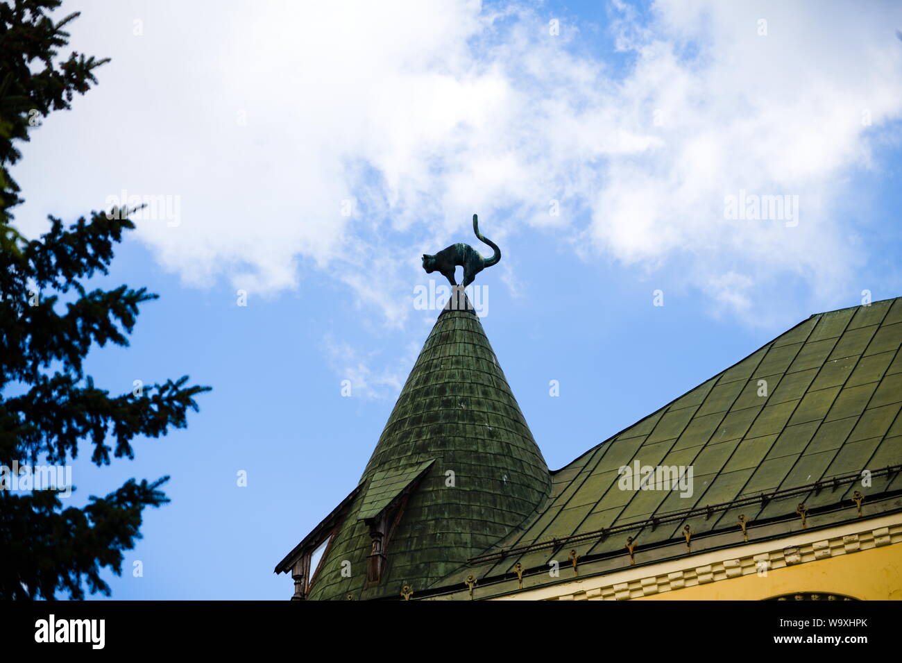 Le chat noir de Riga, Lettonie Banque D'Images