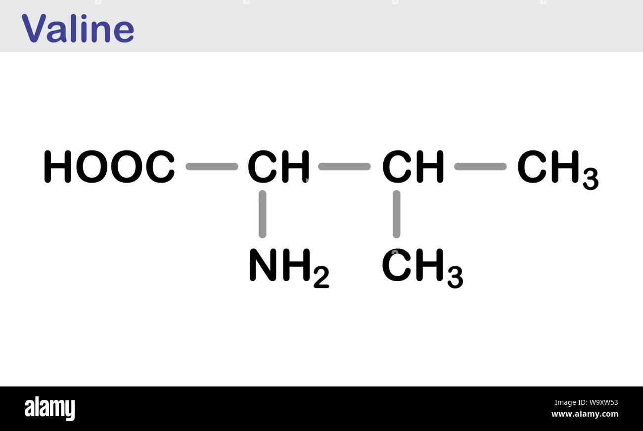 La valine formule topologique Illustration de Vecteur