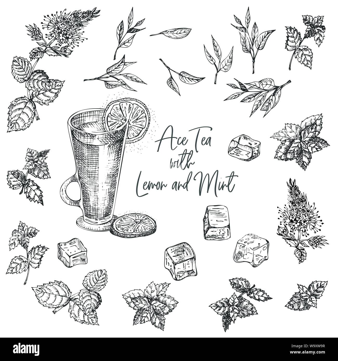 Vintage design croquis à main bar, restaurant, café menu sur fond blanc. Graphic vector art. thé froid avec de la glace, citron et menthe Creative Illustration de Vecteur