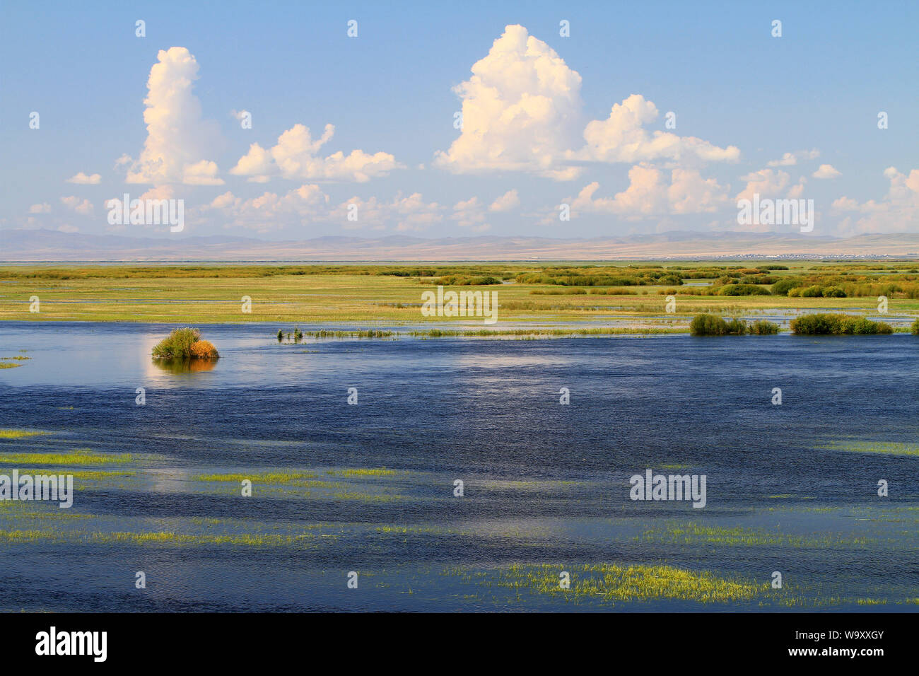 Hu Mongolie intérieure également colonne vomit lake wetlands Banque D'Images