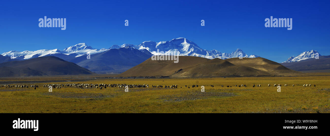Au pied du Mt. Everest shepherd figure Banque D'Images