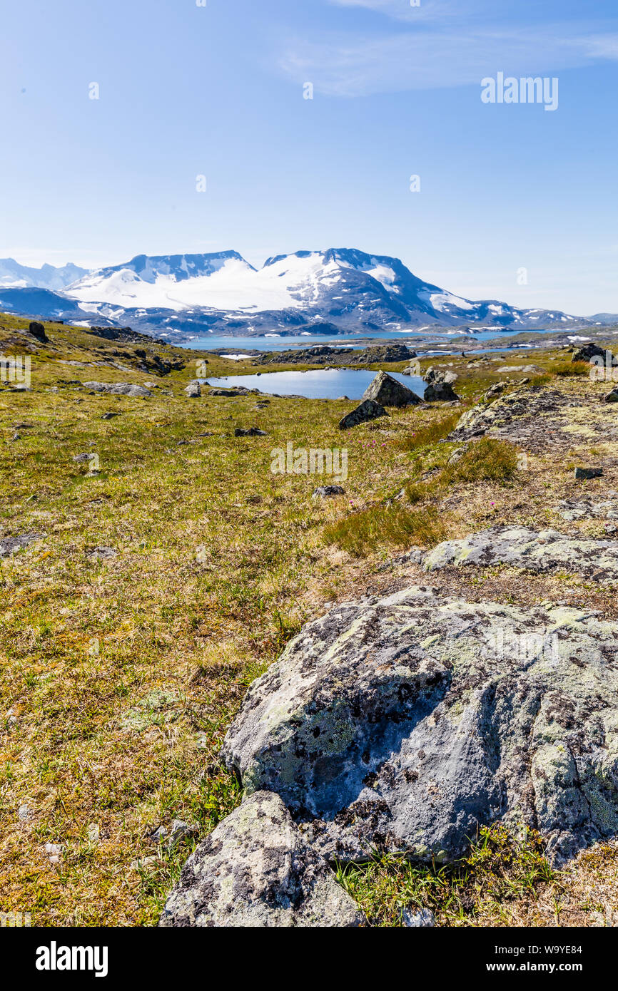 Voir l'Smorstabbrean Sognefjellshytta Krossbu de glacier le long de la route panoramique nationale Sognefjellet entre Skjolden et dans l'ouest de la Norvège. Banque D'Images