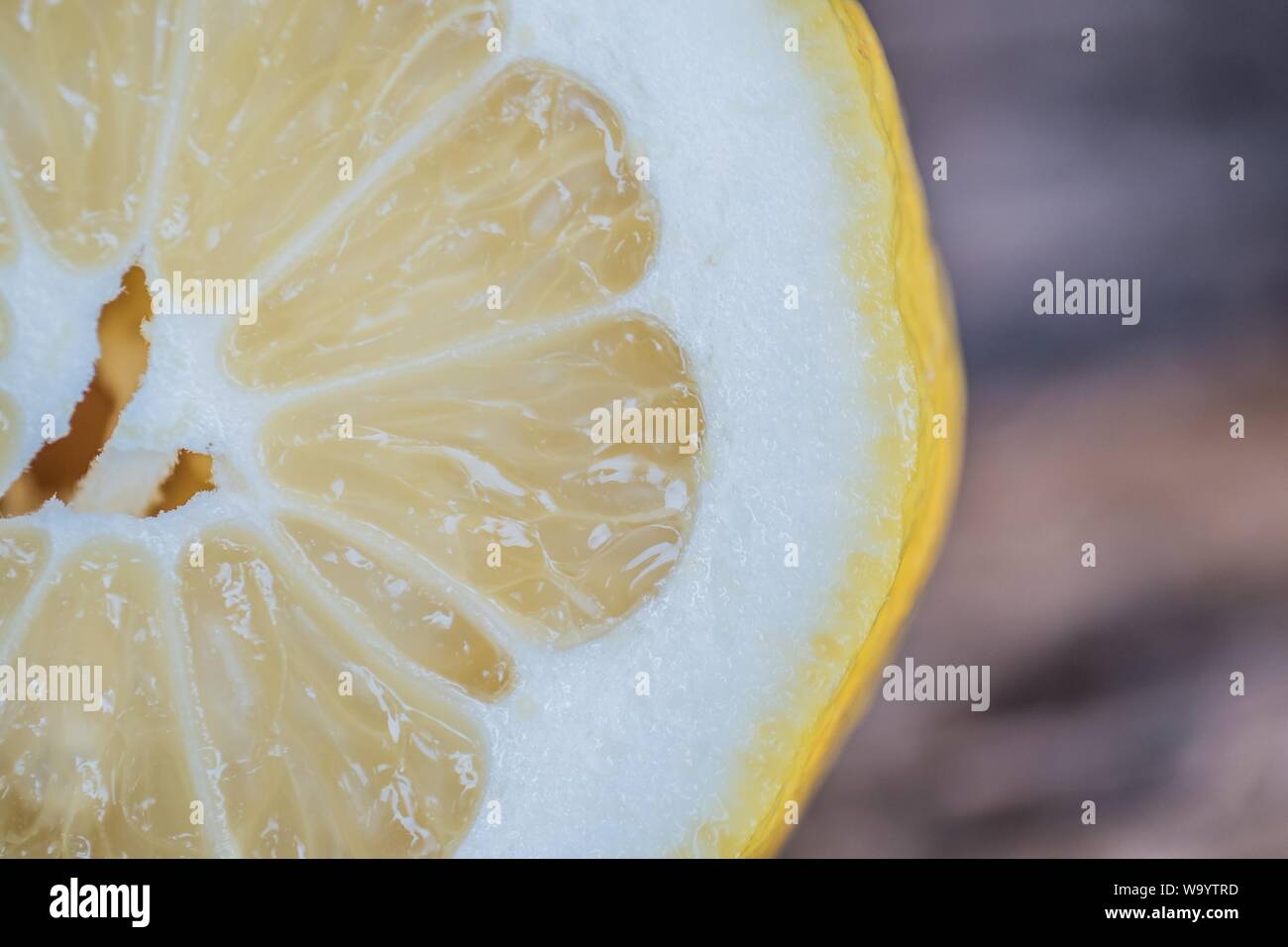 Gros plan sur un point de mise au point sélectif d'un seul citron coupé en tranches un arrière-plan flou Banque D'Images