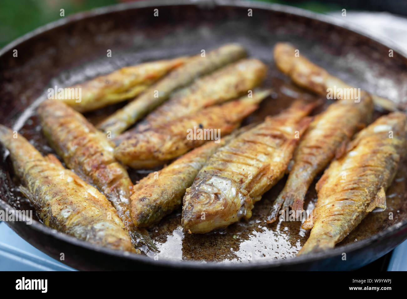 Poissons fraîchement préparé. rosy se trouve le poisson frit dans une casserole. Banque D'Images