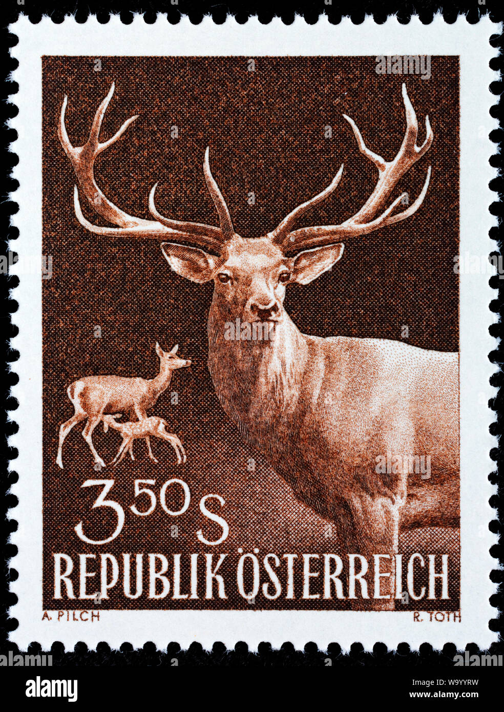 Red Deer (Cervus elaphus, timbre-poste, l'Autriche, 1959 Banque D'Images