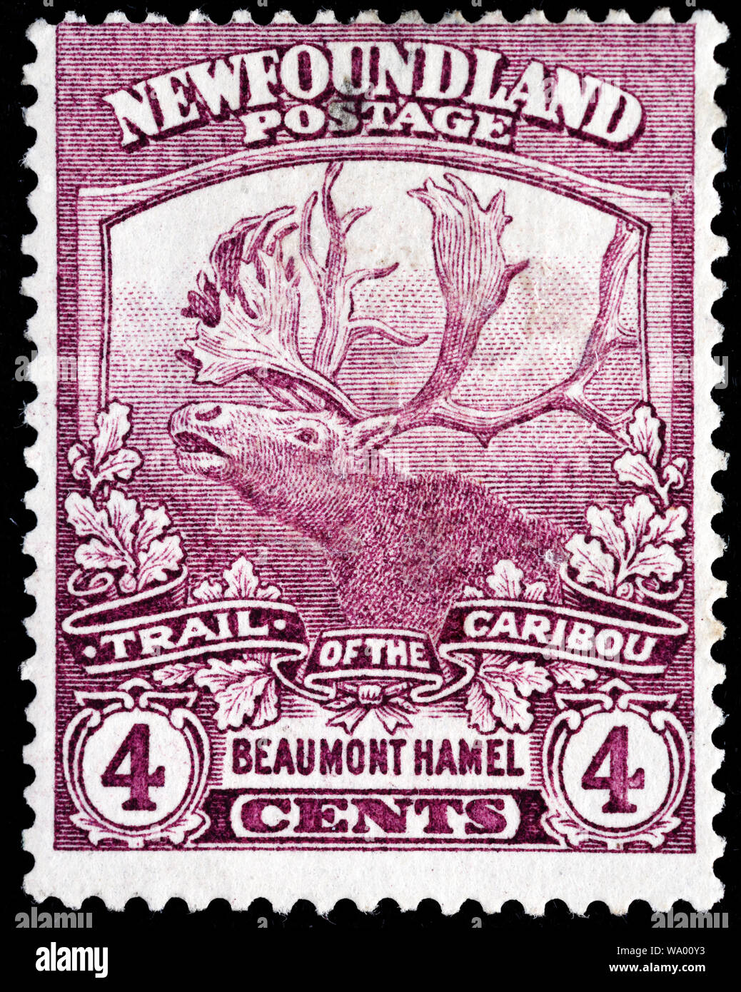 Le renne, le caribou, Rangifer tarandus, timbre-poste, Terre-Neuve, 1919 Banque D'Images