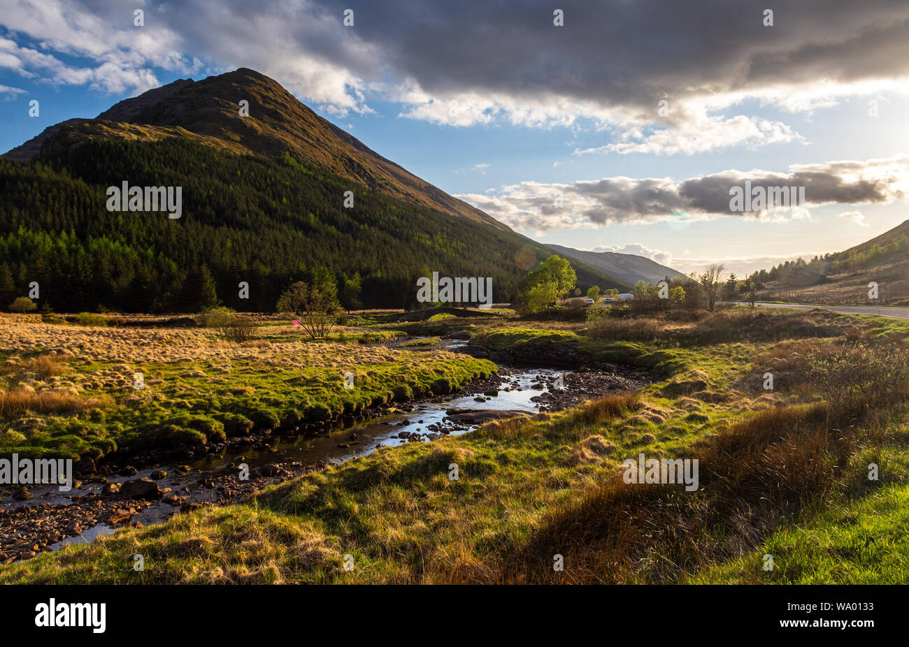 Les pentes boisées de la montagne Beinn une Lochain s'élever au-dessus de la vallée de Glen Kinglas dans l'Argyll Highlands d'Ecosse. Banque D'Images
