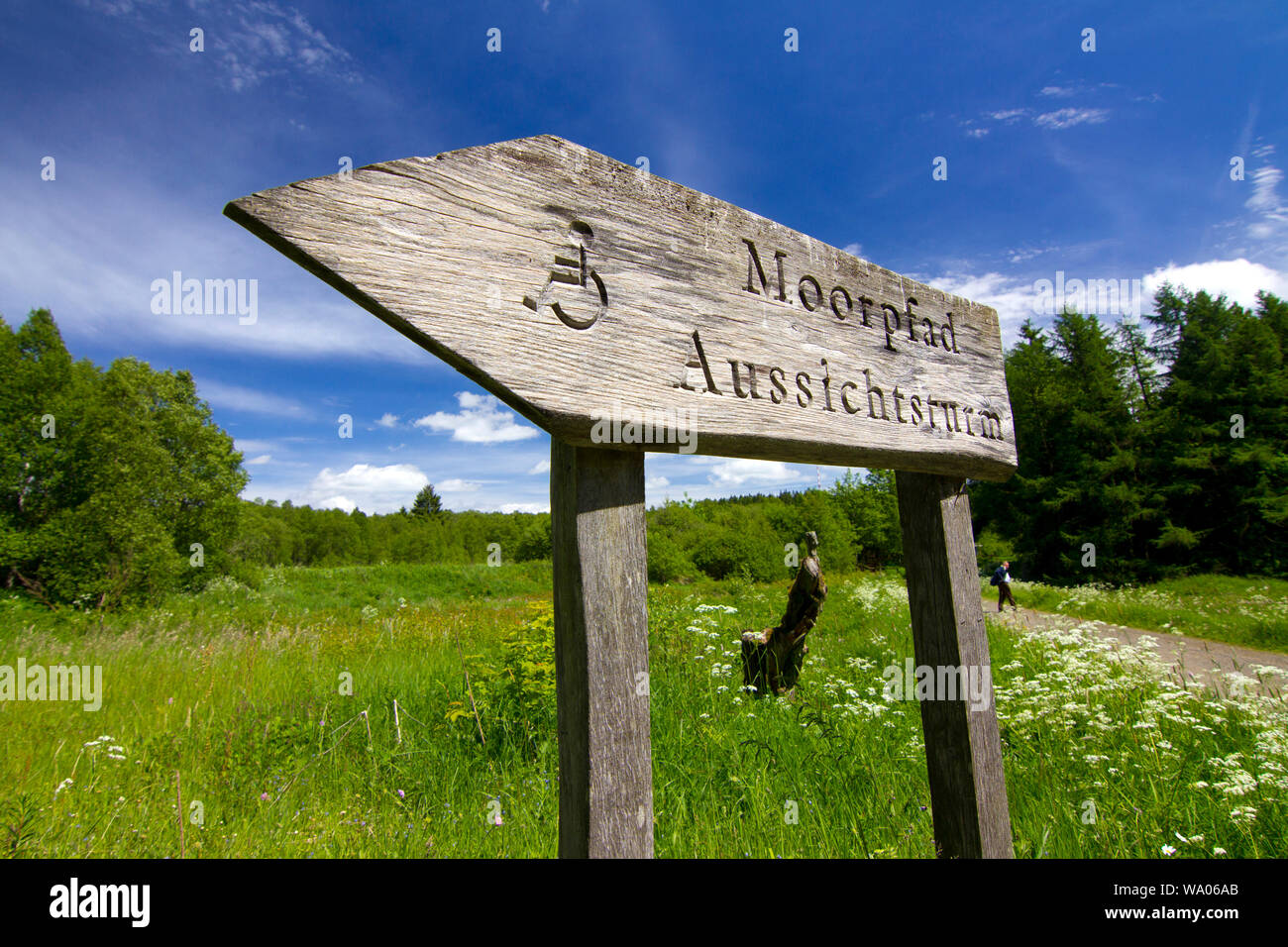 Deutschland,Hessen,Rhön,Rotes Moor, 30052681 *** *** légende locale Banque D'Images